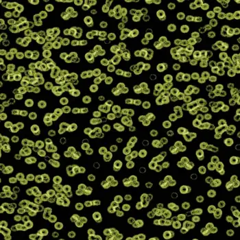 Forbo Flocked Flotex Created By Sottsass - 990103 Bacteria