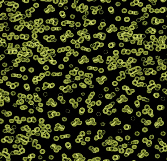 Forbo Flocked Flotex Created By Sottsass - 990103 Bacteria