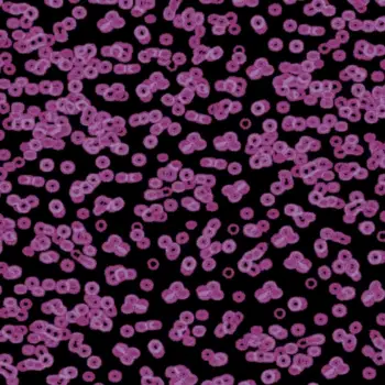 Forbo Flocked Flotex Created By Sottsass - 990104 Bacteria