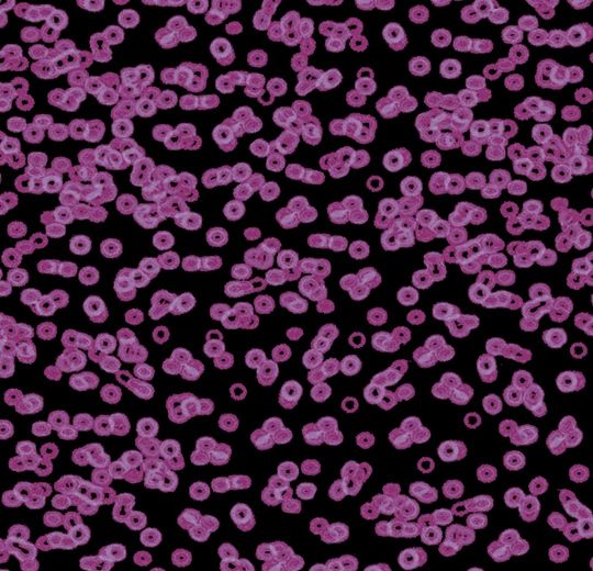 Forbo Flocked Flotex Created By Sottsass - 990104 Bacteria