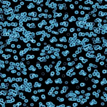 Forbo Flocked Flotex Created By Sottsass - 990105 Bacteria