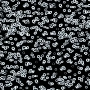 Forbo Flocked Flotex Created By Sottsass - 990106 Bacteria