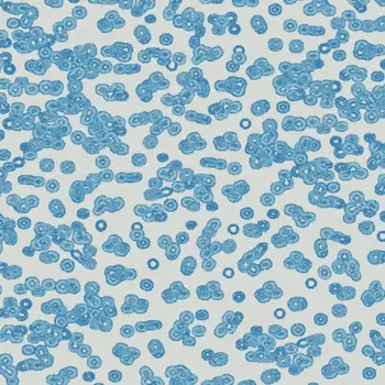 Forbo Flocked Flotex Created By Sottsass - 990202 Bacteria