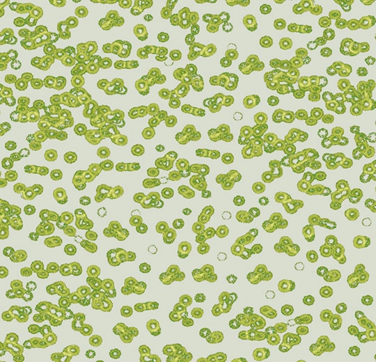 Forbo Flocked Flotex Created By Sottsass - 990203 Bacteria