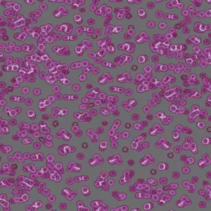 Forbo Flocked Flotex Created By Sottsass - 990301 Bacteria