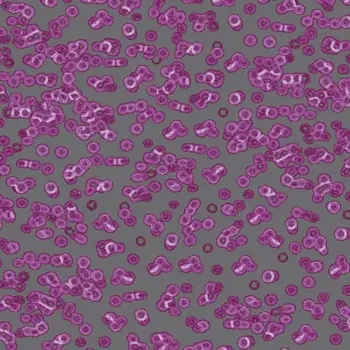 Forbo Flocked Flotex Created By Sottsass - 990301 Bacteria