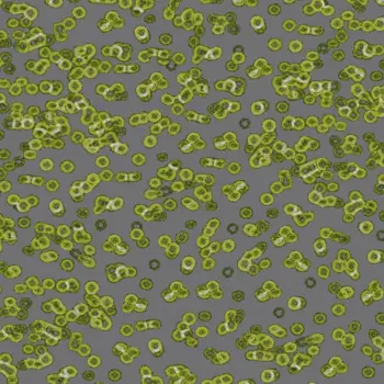 Forbo Flocked Flotex Created By Sottsass - 990302 Bacteria
