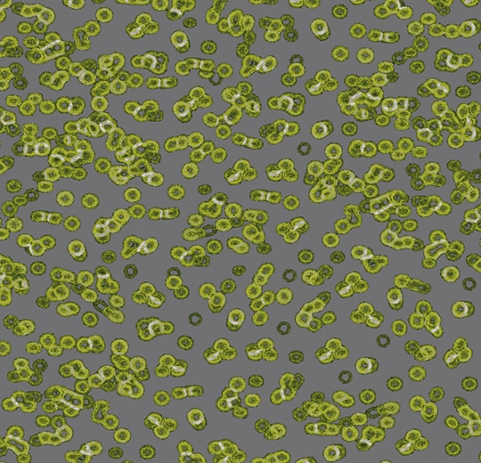 Forbo Flocked Flotex Created By Sottsass - 990302 Bacteria