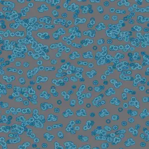 Forbo Flocked Flotex Created By Sottsass - 990303 Bacteria