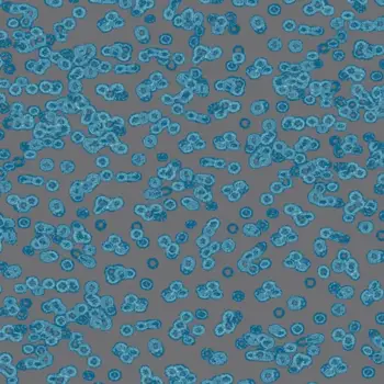 Forbo Flocked Flotex Created By Sottsass - 990303 Bacteria