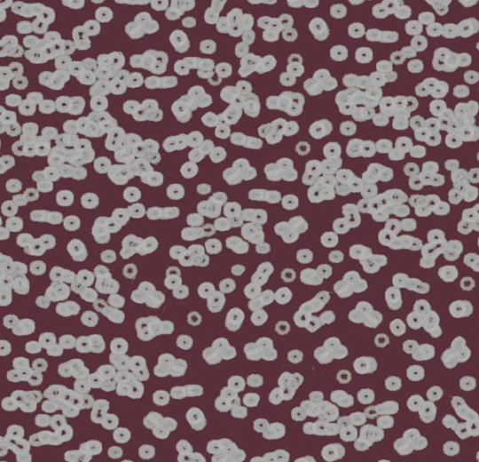 Forbo Flocked Flotex Created By Sottsass - 990402 Bacteria