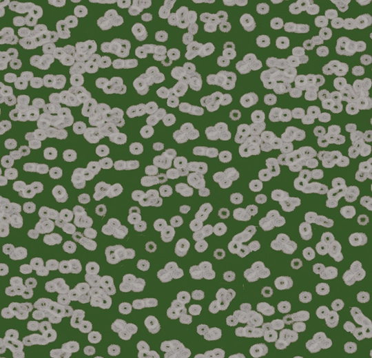 Forbo Flocked Flotex Created By Sottsass - 990403 Bacteria
