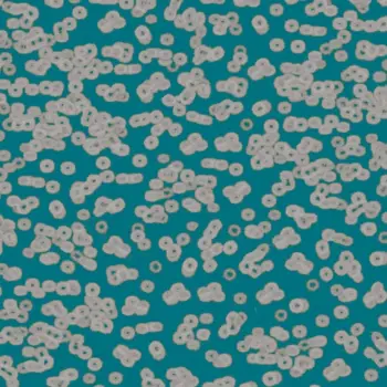 Forbo Flocked Flotex Created By Sottsass - 990404 Bacteria