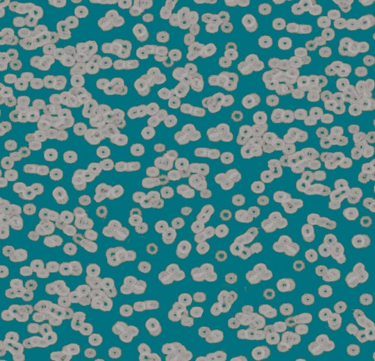 Forbo Flocked Flotex Created By Sottsass - 990404 Bacteria