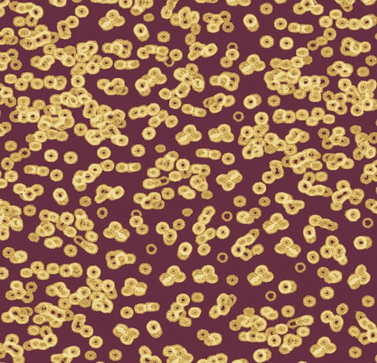 Forbo Flocked Flotex Created By Sottsass - 990501 Bacteria