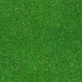 Forbo Flooring FR Rail - 000369FR Grass