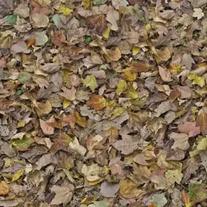 Forbo Flooring FR Rail - 000509FR Autumn Leaves-Green