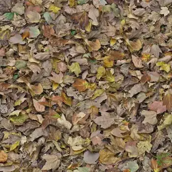 Forbo Flooring FR Rail - 000509FR Autumn Leaves-Green