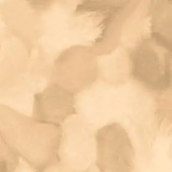 Forbo Flooring FR Rail - 001597FR Welcome To Jupiter Sepia