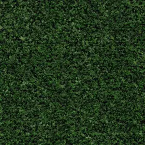 Forbo Flooring Systems Coral Brush - 5708 Avocado Green