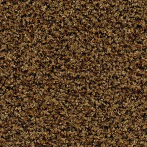 Forbo Flooring Systems Coral Brush - 5716 Masala Brown