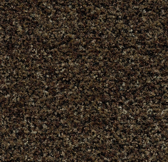 Forbo Flooring Systems Coral Brush - 5774 Biscotti Brown