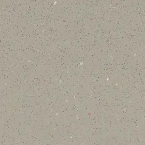 Forbo Flooring Vinyl Eternal Step SR11 - 174232 Fossil