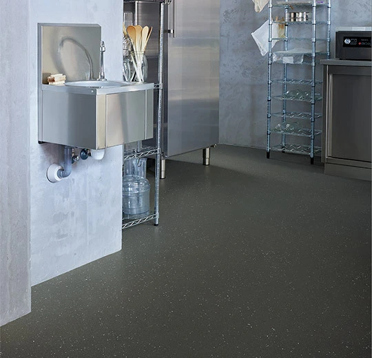 Forbo Flooring Vinyl Eternal Step SR11 - 174282 Dragon