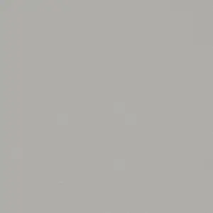 Forbo Flooring Vinyl Sheet Colour - 42452 Greige