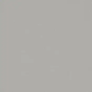 Forbo Flooring Vinyl Sheet Colour - 42452 Greige