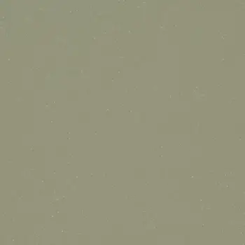 Forbo Flooring Vinyl Sheet Colour - 42492 Sage