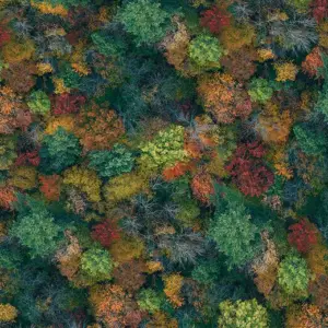 Forbo Flotex Flooring Elevate - 000691 Forest Canopya