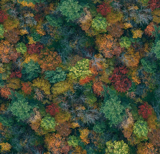 Forbo Flotex Flooring Elevate - 000691 Forest Canopya