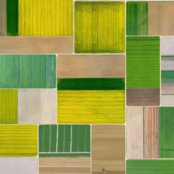 Forbo Flotex Flooring Elevate - 000704 Corn Fields