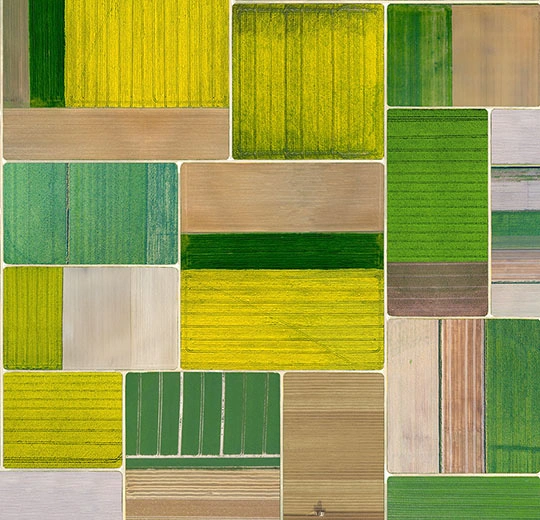 Forbo Flotex Flooring Elevate - 000704 Corn Fields