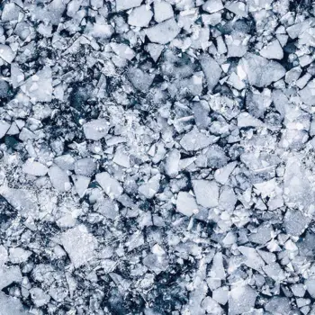 Forbo Flotex Flooring Elevate - 000705 North American Arctic