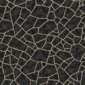 Forbo Flotex Hospitality Statement - 262401 Red Rock Black Jack