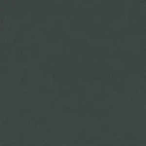 Forbo Furniture Linoleum - 4174 Conifer