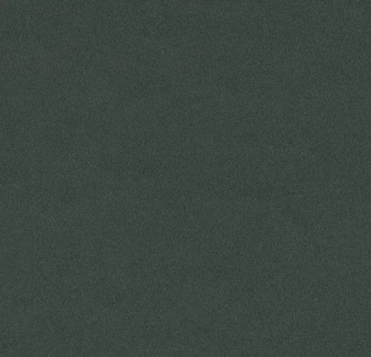 Forbo Furniture Linoleum - 4174 Conifer