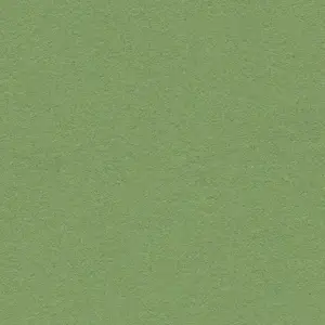 Forbo Marmoleum Bulletin Board - 2213 Baby Lettuce