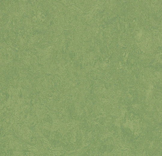 Forbo Marmoleum Cinch Loc Seal - 333260-933260 Leaf