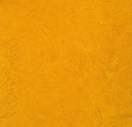 Forbo Marmoleum Decibel On Order - 312535 Golden Sunset