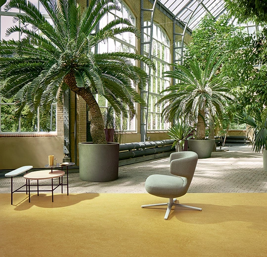 Forbo Marmoleum Decibel On Order - 325935 Mustard