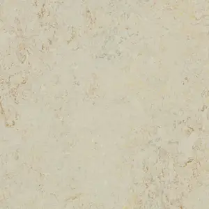 Forbo Marmoleum Decibel On Order - 343335 Rockpool