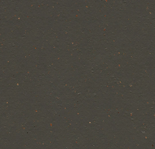 Forbo Marmoleum Decibel On Order - 359135 Black Tea