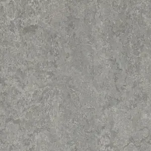 Forbo Marmoleum MCS Sheet - 3146 Serene Grey