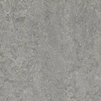 Forbo Marmoleum MCS Sheet - 3146 Serene Grey