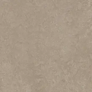 Forbo Marmoleum MCT Tile - MCT 3252 Sparrow