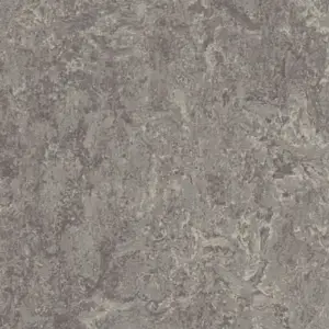 Forbo Marmoleum Modular Tiles - T2629 Eiger