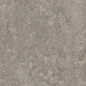 Forbo Marmoleum Modular Tiles - T3146 Serene Grey